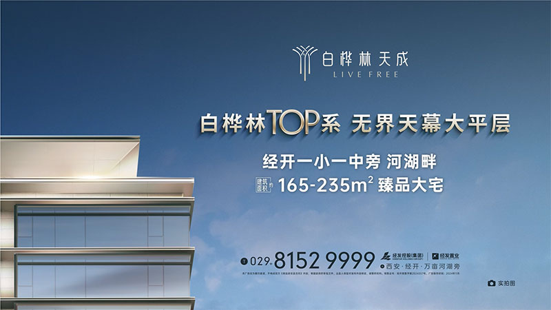 白桦林天成185㎡户型讲解