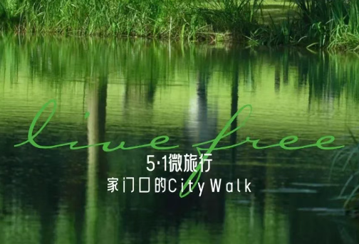 白桦林天成 | 五一City Walk，Get微旅松弛感!
