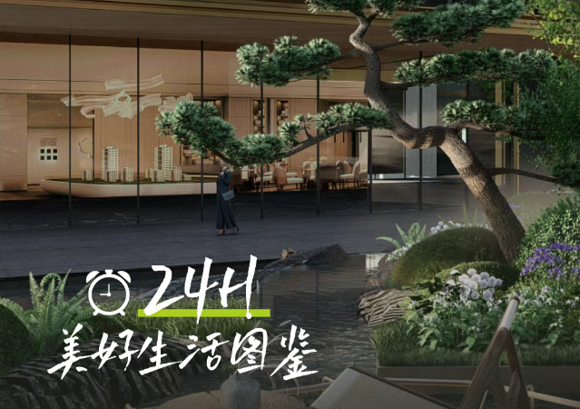 晨曦到星辰的交响，白桦林晓24小时美好生活图鉴