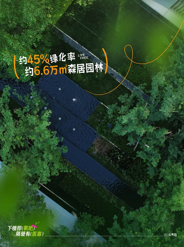 白桦林天成丨贴心健康守护，全时在线