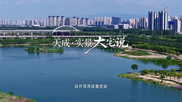 白桦林天成丨实景大宅说