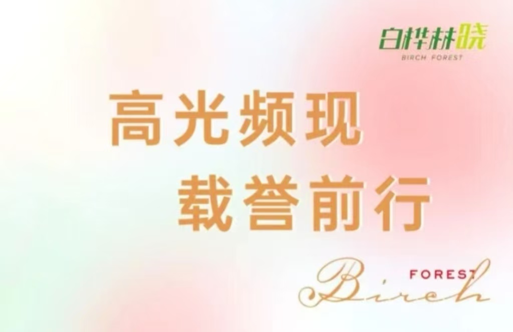 白桦林晓丨2025高光时刻，以红盘赴新程
