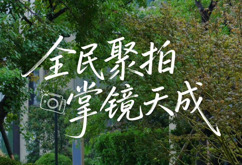 白桦林天成丨全民摄影征集，赢富士相机
