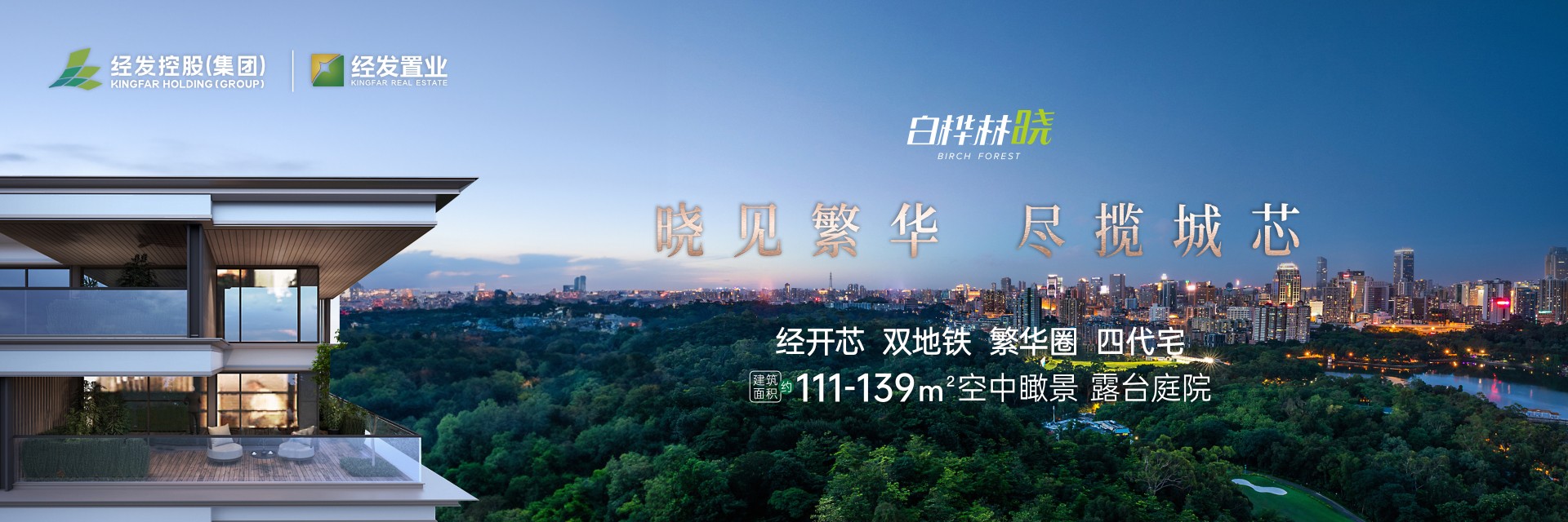 白桦林晓