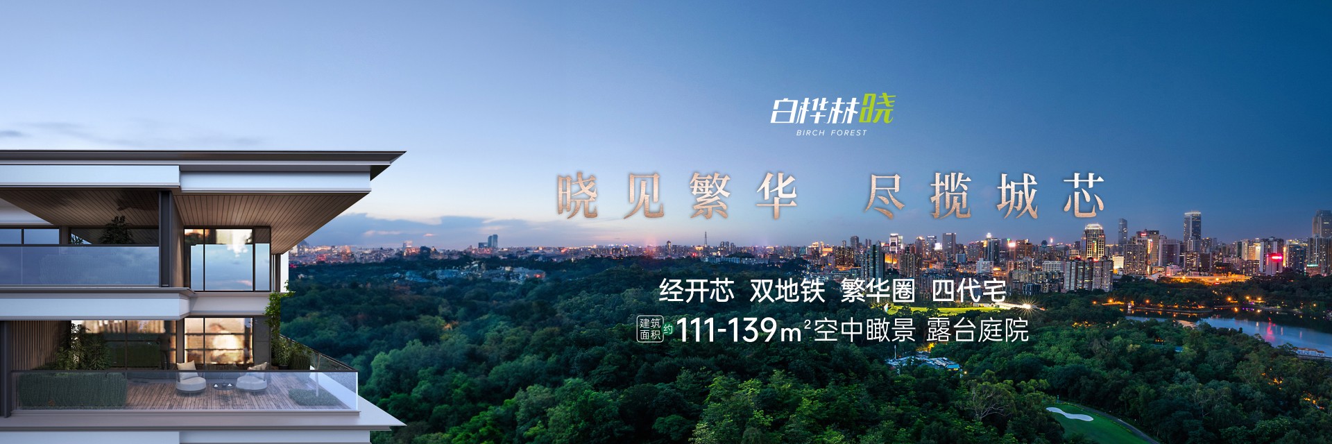 白桦林晓