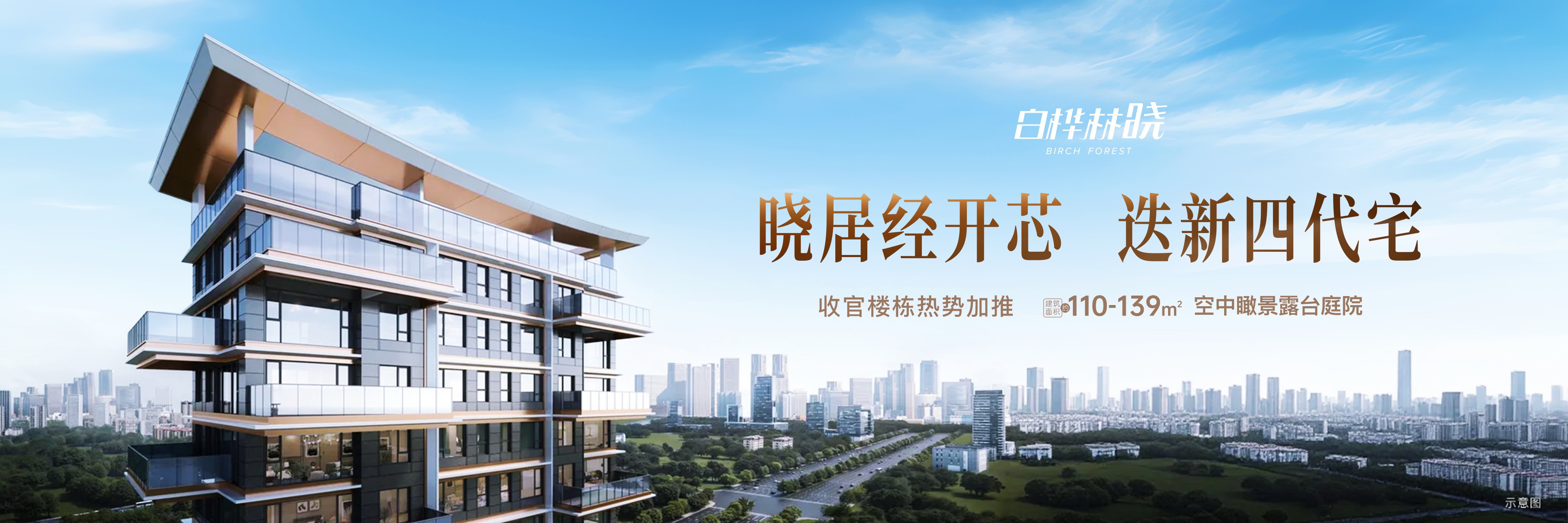 白桦林晓2