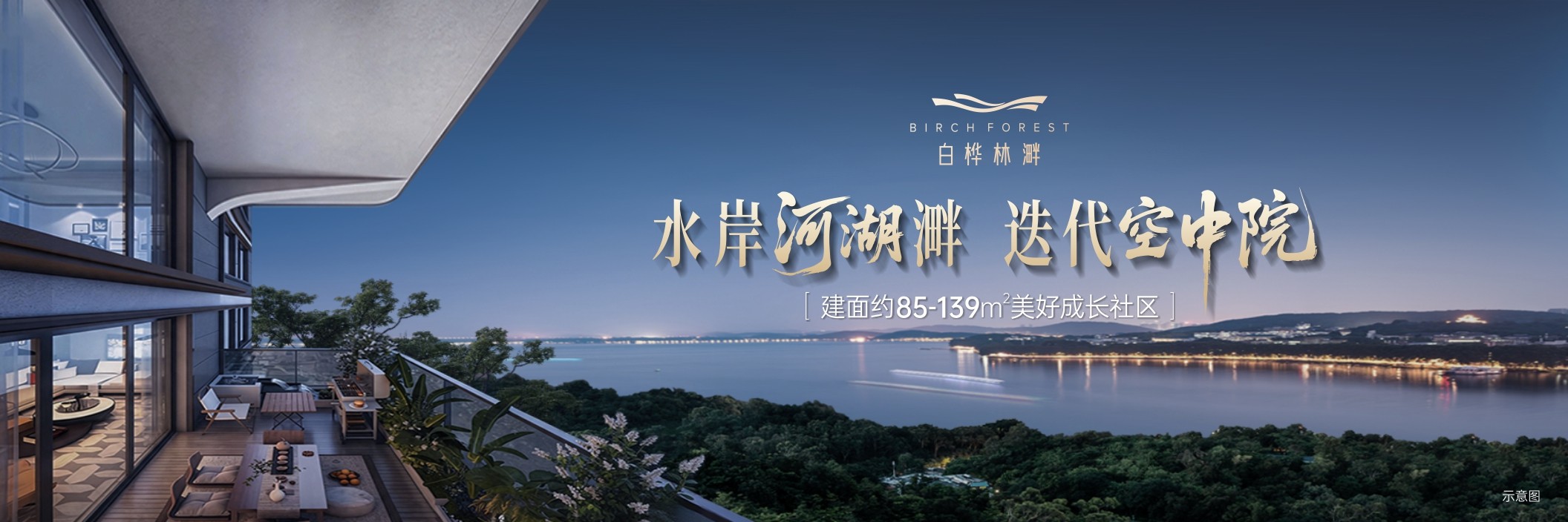 白桦林溿