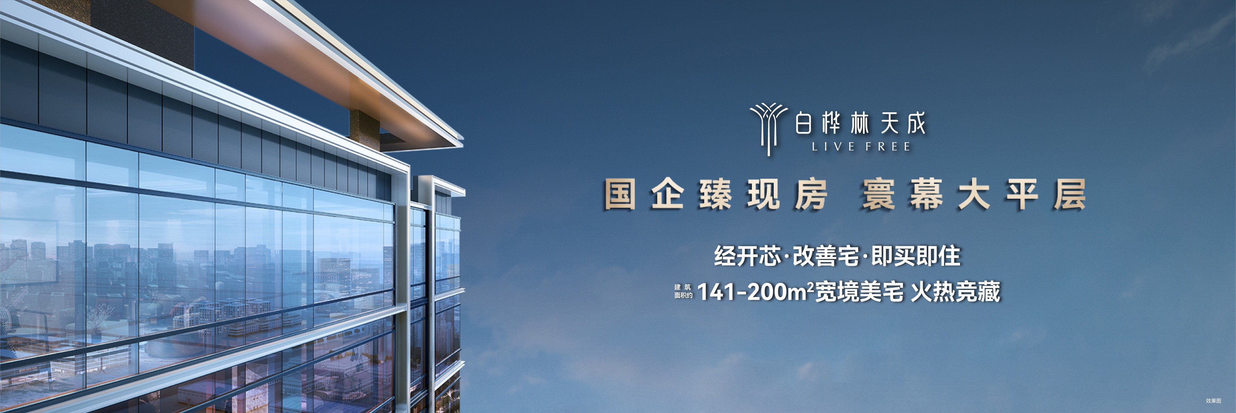 白桦林天成